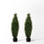 (2 Pack) 3 Ft Cedar Boxwood Topiary