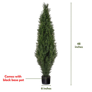 (2 Pack) 4 Ft Cedar Boxwood Topiary