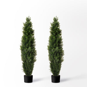 (2 Pack) 4 Ft Cedar Boxwood Topiary