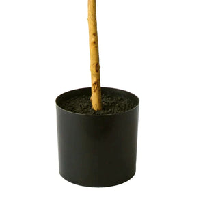 7 Ft Artificial Olive Tree in Black Pot