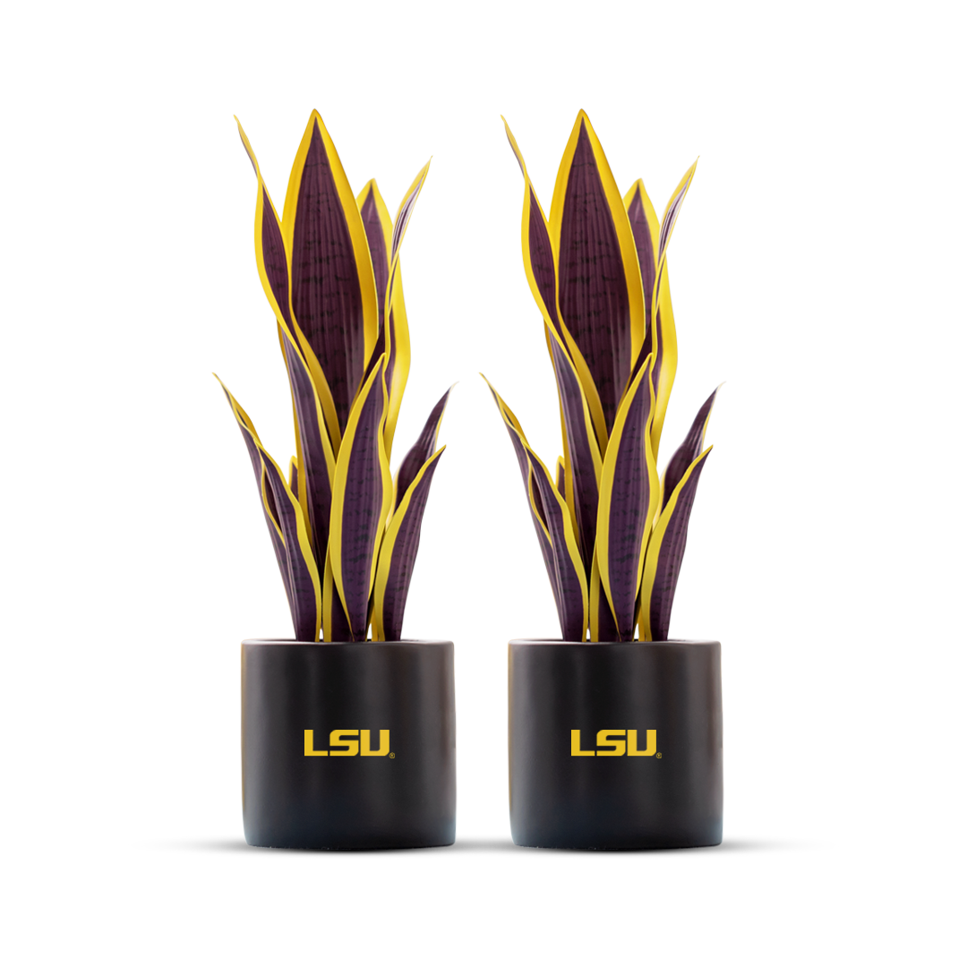 LSU Orchid Plant, LSU Faux Orchid Plant, LSU Gifts for Men, LSU