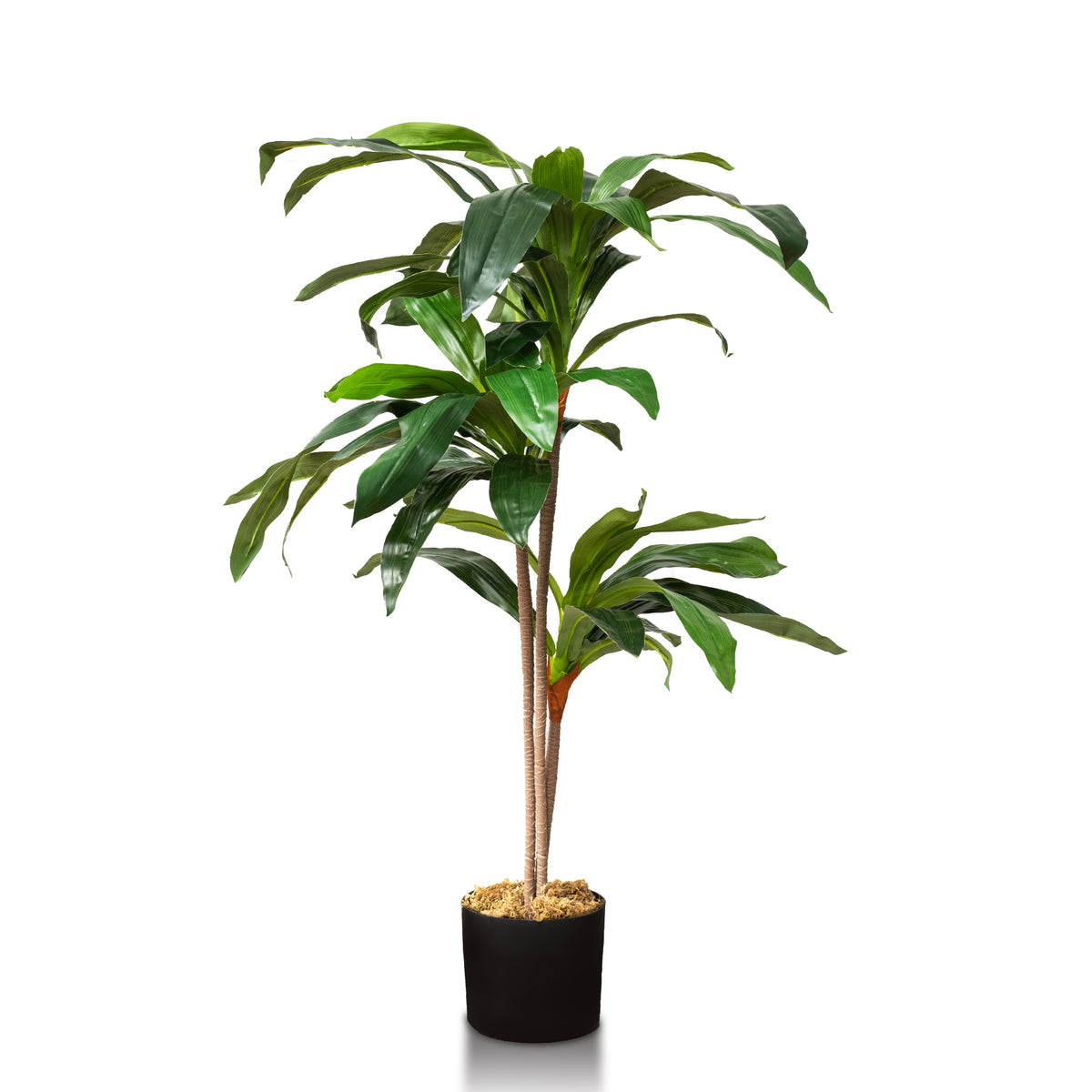 Faux Plant Decor - Dracaena Indoor Plant 4 Feet - Forever Leaf